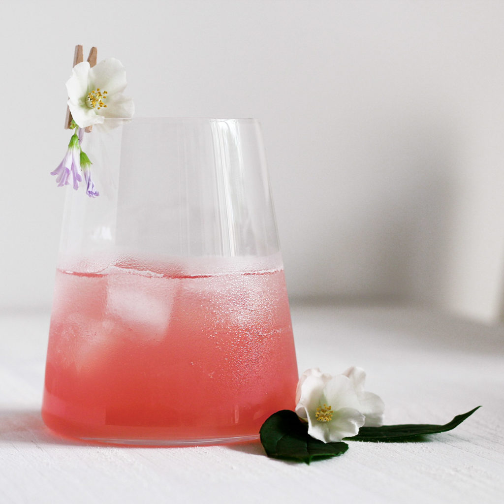 Double Rhubarb Gin Fizz